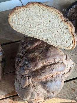 Brot aus dem Steinofen
