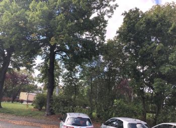 Kleiner Park vor dem Haus