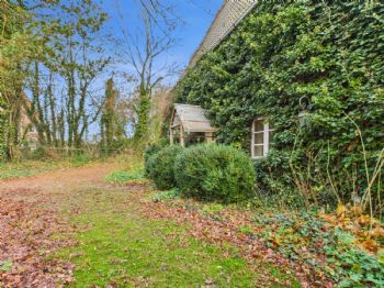 Freifläche vor Haupteingang - Lütt Immobilien - Gadendorf