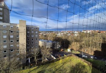 Ausblick vom Balkon